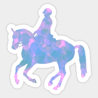 Horse Riding Sticker